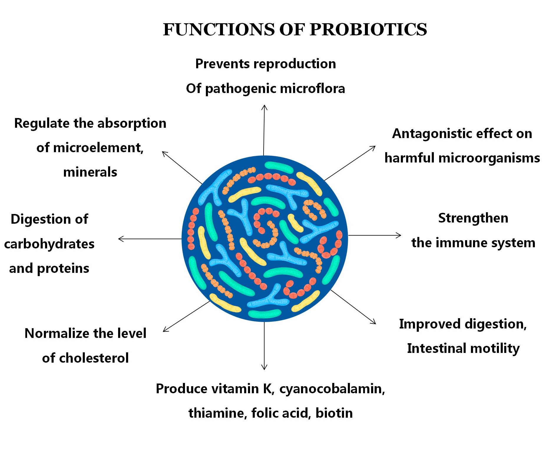 Anti-Helicobacter Pylori Premix Probiotics Powder for Adult