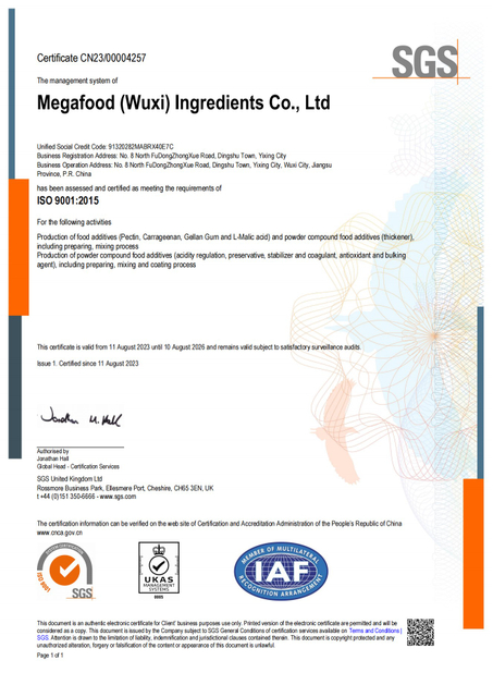 SGS ISO 9001 EN