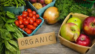 organic organic